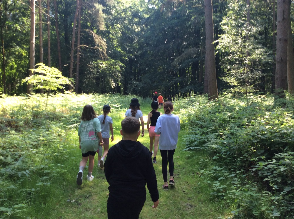 Children walking through a forest