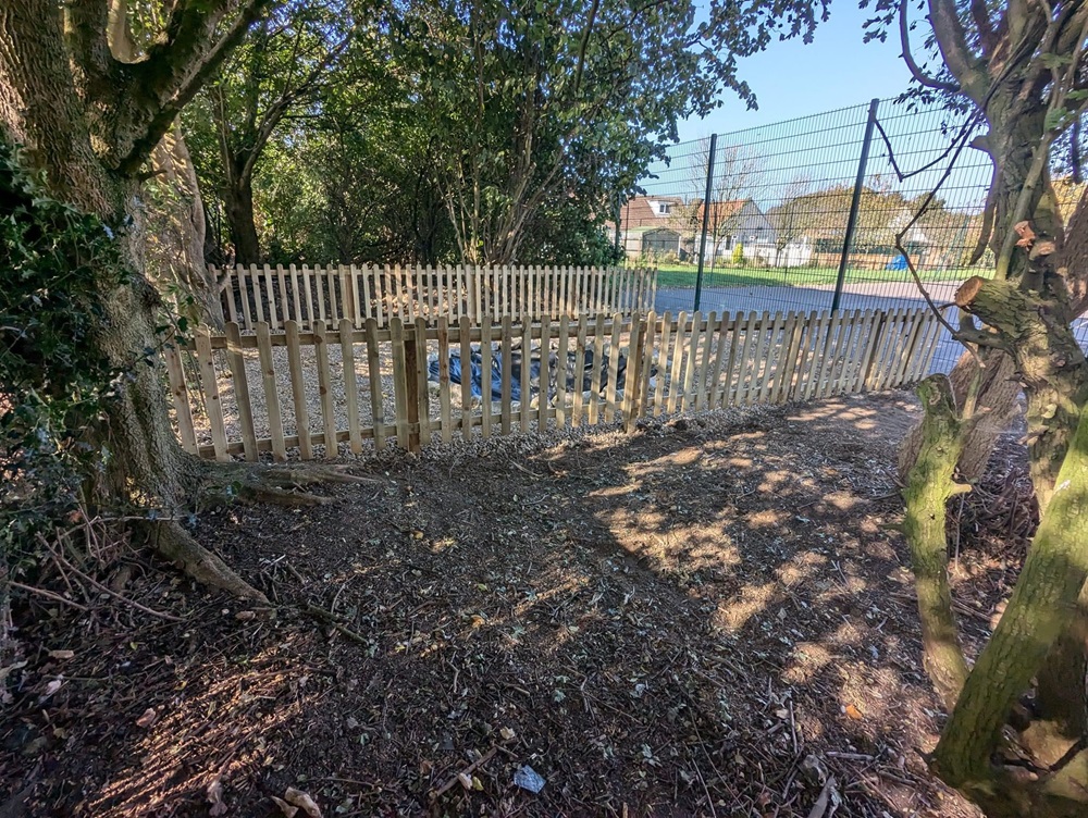 the area is cleared for planting